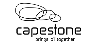 Capestone logo