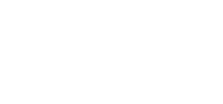 Netskope logo
